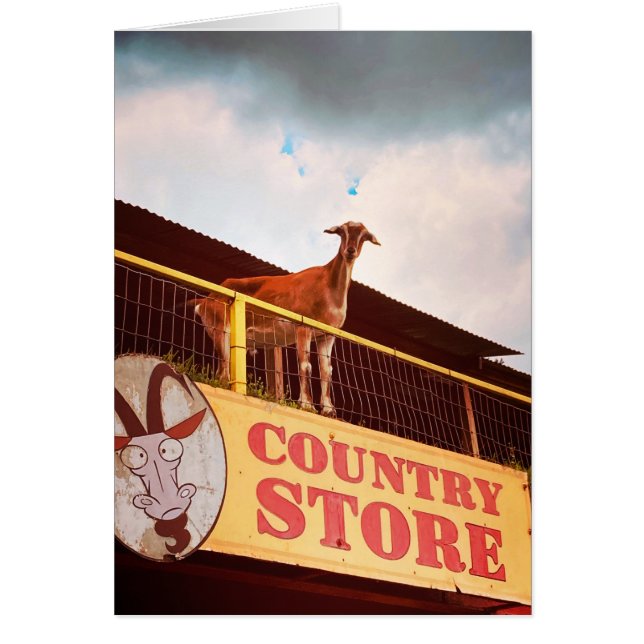 chèvre de magasin de campagne sur le toit (Devant)