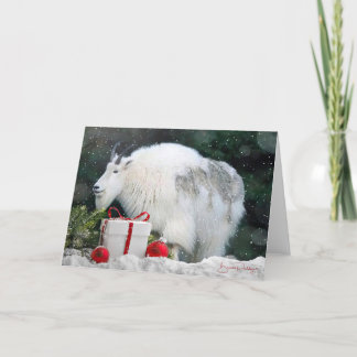 Chèvre de montagne à Noël - Carte blanche 5x7