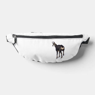 Chèvre montagneuse minimaliste chamois alpin sur n