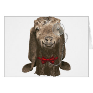 Chèvre Nubienne Drôle Avec Monocle