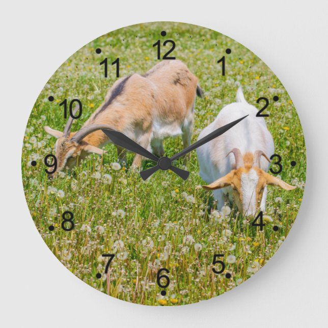 Chèvres Animaux de ferme Grosse horloge (Recto)