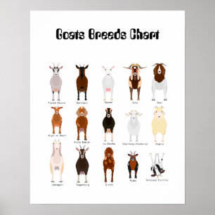 Chèvres Reproduisez une affiche