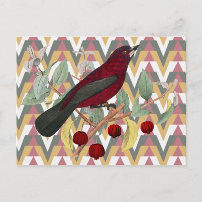 Chevron and Vintage Red Bird Postcard (Front)
