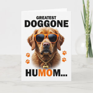 Chevron Cool Canine Portrait Card