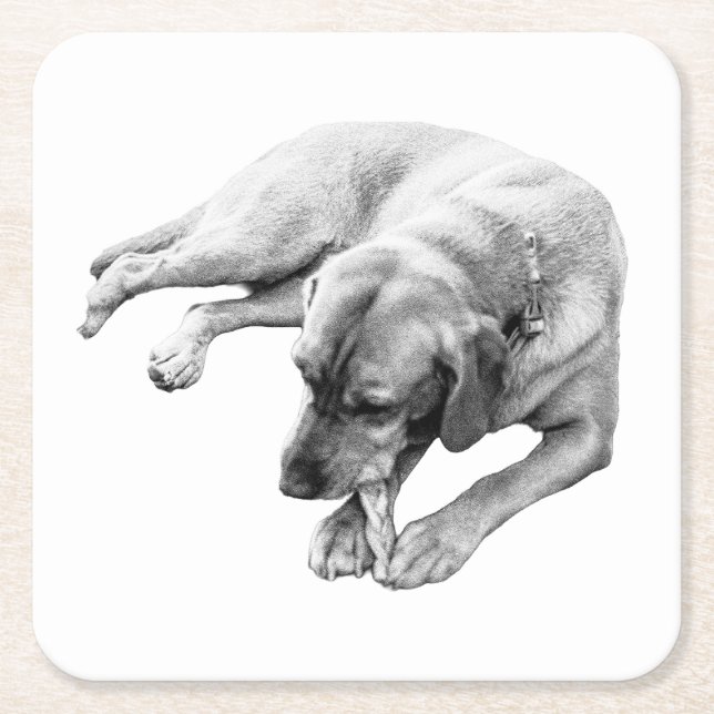 Chew Break Square Paper Coaster (Front)
