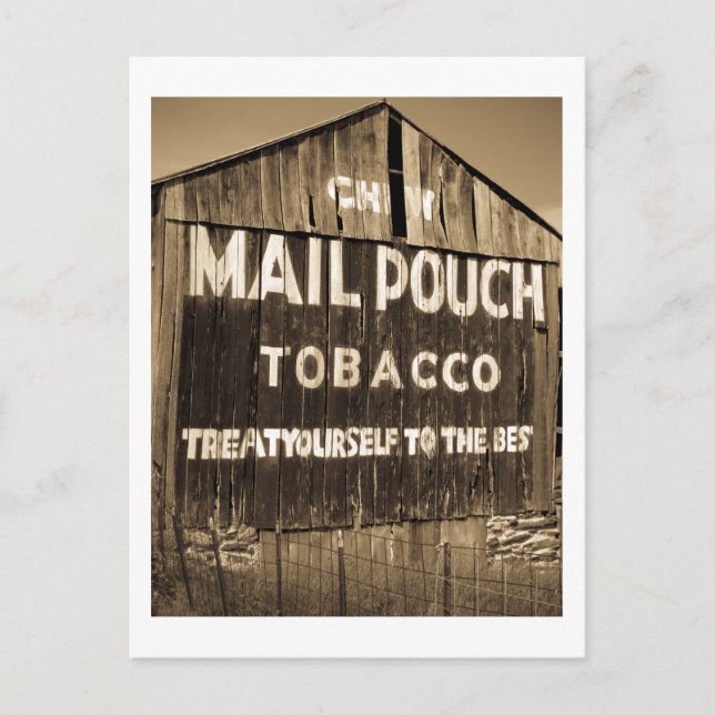 Chew Mail Pouch Tobacco Barn Postcard (Front)