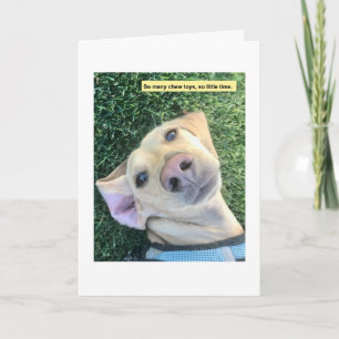 Chew Toys MillieGram Card