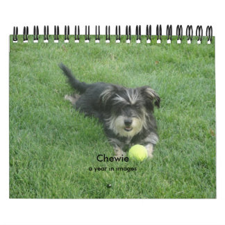 Chewie: A Year in Images Calendar