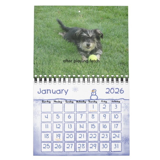 Chewie: A Year in Images Calendar (Jan 2026)