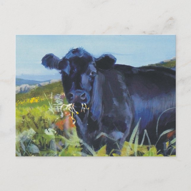 Chewing the cud postcard (Front)