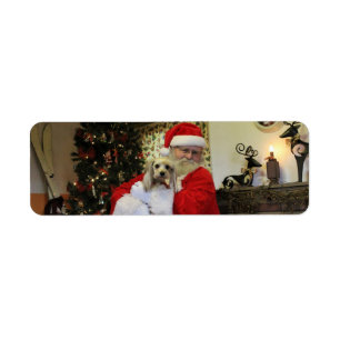 Chewy and Santa