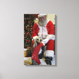 Chewy Finally gets to Meet Santa Canvas Print