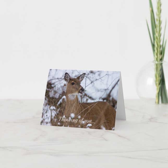 Chewy Thinking Of You Card (Front)