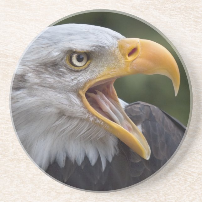 Cheyenne Coaster (Front)