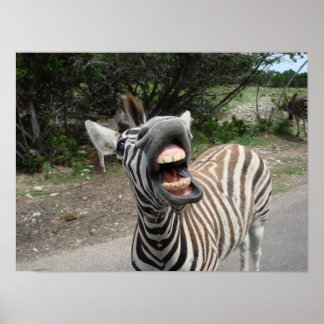 chezzy zebra poster