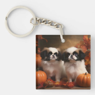 Chi Japonais Puppy Automne Délice Citrouille