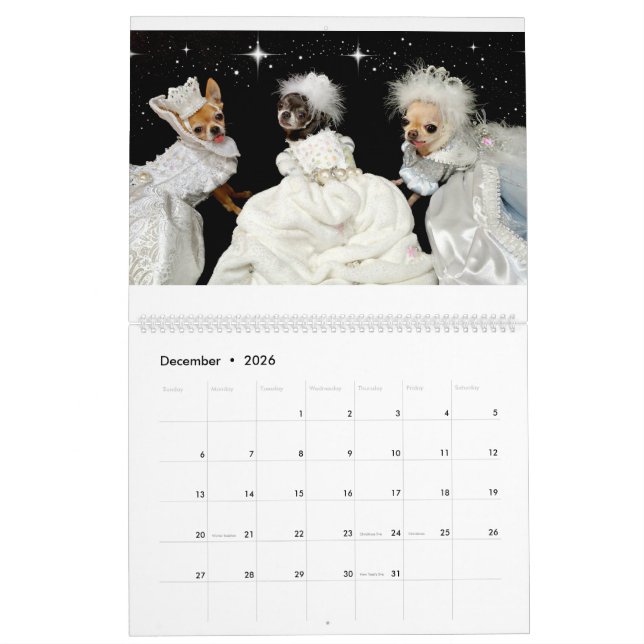 Chi Yum Yum 2016 Calendar (Dec 2026)