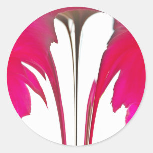 Chic amazing Red rose under the white sky.png Classic Round Sticker