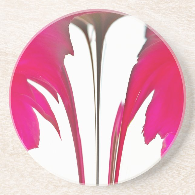 Chic amazing Red rose under the white sky.png Coaster (Front)