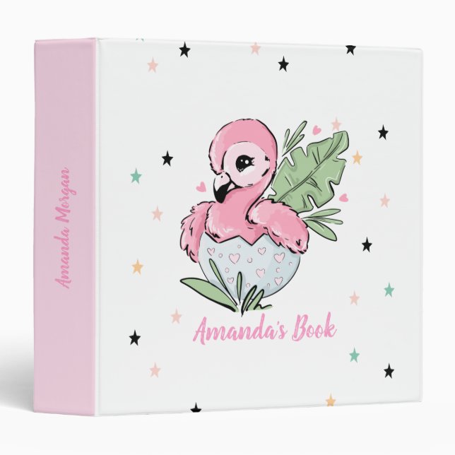Chic Baby Flamingos, Stars, Princess   Binder (Front/Spine)