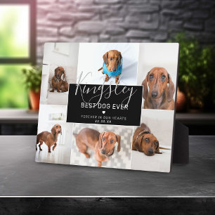 Chic Best Dog Ever Photo Collage Pet Loss Plaque