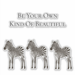 Chic Black White Zebras
