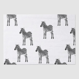 Chic Black White Zebras Tissue Paper