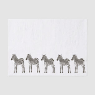 Chic Black White Zebras Tissue Paper