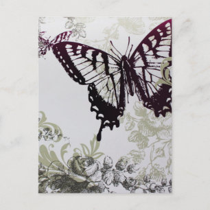 chic bright colourful summer butterfly postcard