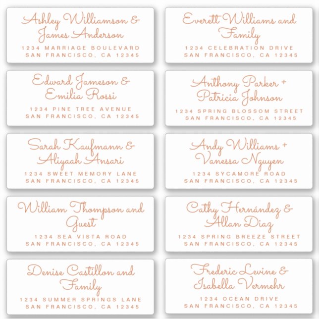 Chic Burnt Orange Calligraphy Guest Address Labels (Front)