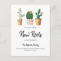 Chic Cactus Planted New Roots Moved Moving