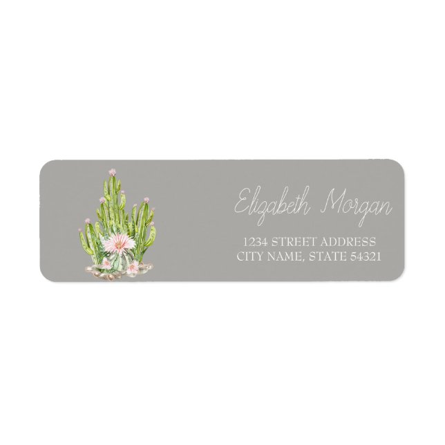 Chic Cactus Romantiques Fleurs Succulentes (Devant)