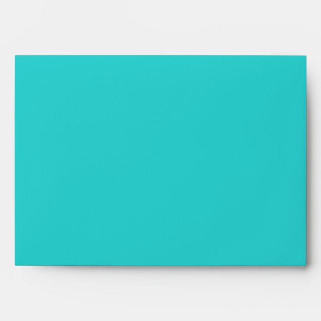 Chic Contemporary Zebra Envelopes (Front)