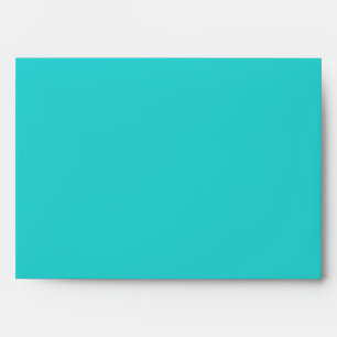 Chic Contemporary Zebra Envelopes