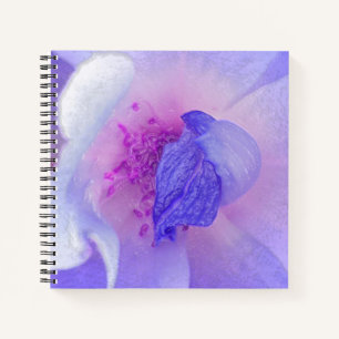 *~* Chic Digitally Modified Rose from Pink to Blue Notebook