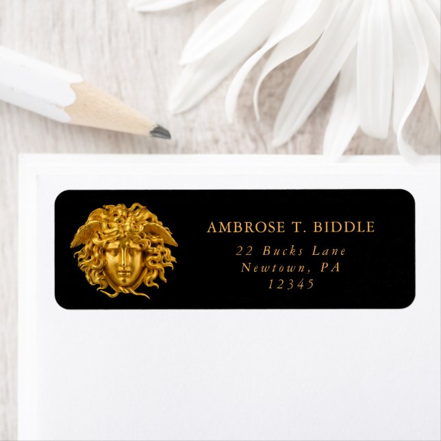 Chic Français Fine Art Haute Couture Medusa Masque (En situation)