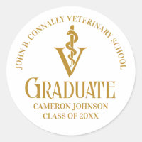 Chic Gold Veterinary School Graduation Party
