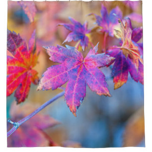 Chic Japanese Maple leaves