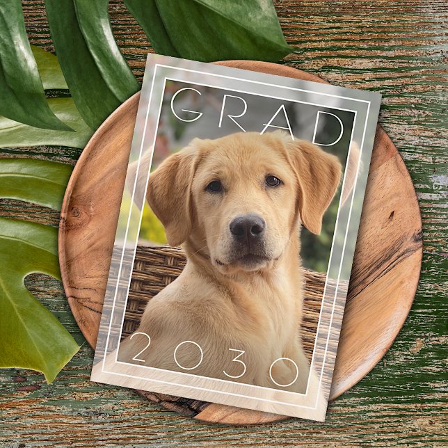 Chic Puppy School Gold Foil Graduation Announcement (Creator Uploaded)