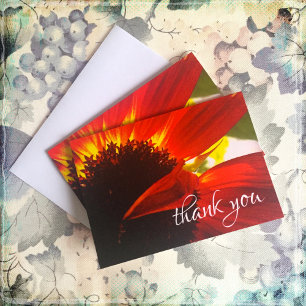 Chic, red orange daisy photo thank you note card