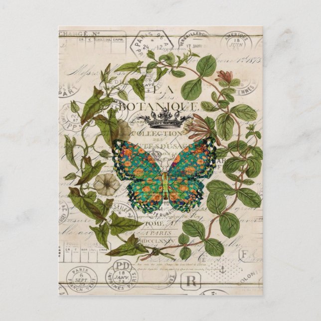 chic script french country botanical butterfly postcard (Front)