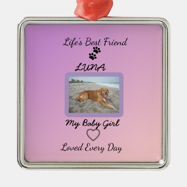 Chic Seasonal Companion Keepsake Metal Ornament (Front)