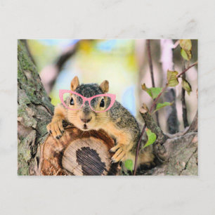 Chic squirrel postcard