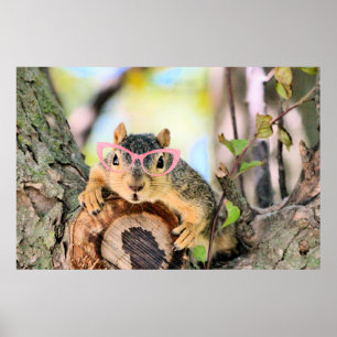 Chic squirrel poster