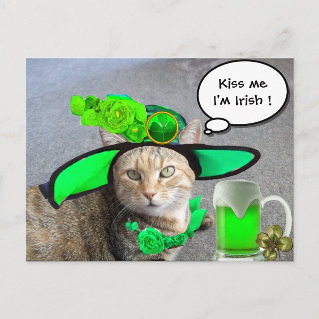 CHIC ST.PATRICK'S DAY CAT,GREEN ROSES,IRISH BEER POSTCARD (Front)