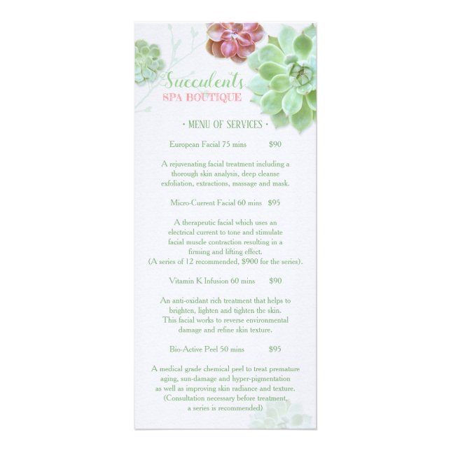 Chic Succulents Massage Spa Price List Menu 1 (Front)
