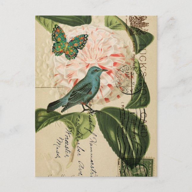 Chic Vintage Bird camellia french botanical art Postcard (Front)
