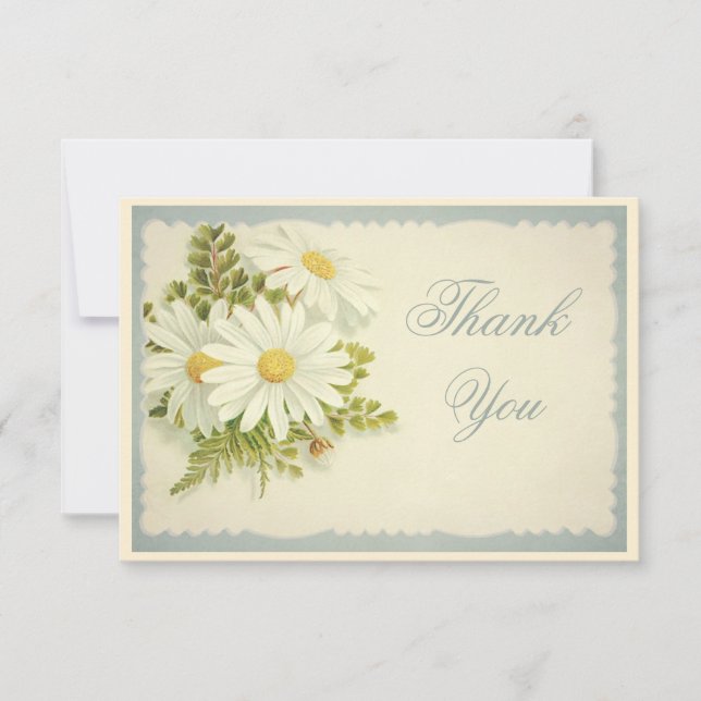 Chic Vintage Daisies Thank You (Front)