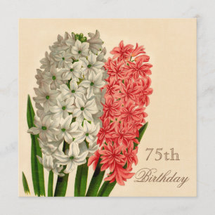 Chic Vintage Hyacinths 75th Birthday Invitation