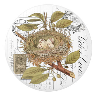 Chic Vintage Nest & Egg French Script Knob